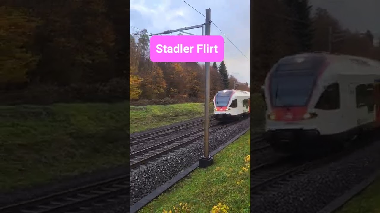 Stadler Flirt bei Lenzburg, Kanton Aargau, Schweiz 2022 / #shorts 🚄🚩