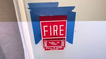 Fire Lite MS-4 System Test 5: Wheelock MT & EST Genesis￼