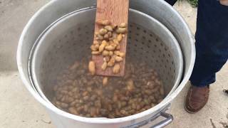 Boiled  Peanuts a.k.a Country Caviar!
