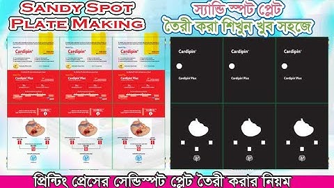 স্যান্ডি স্পট প্লেট তৈরী করবেন যেভাবে | Sandy Spot Plate Output Setup| Printing Press Design