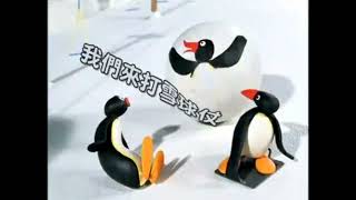 Pingu Le Cards 1
