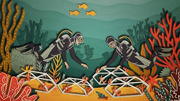 CSR Program 2023 - Documentary Video - PT SMI