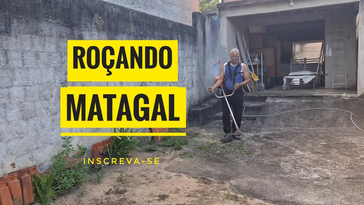 Roçando o Mato com a Roçadeira 🌿💪 e Cuidando das Aves e das Cadelas com Muito Amor 🐔🐶