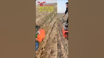 Mách bạn cách vun luống sạc cỏ siêu nhanh mà giá lại rẻ #shorts #vinmax