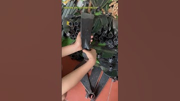 HAI MẪU CUỐC ĐC MUA NHIỀU NHẤT THÉP NHÍP SỊN