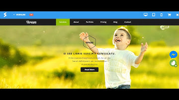 Vernum   Responsive OnePage Parallax WordPress Theme