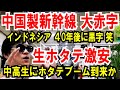【中国製新幹線】40年間 大赤字!インドネシア呆然【生ホタテ激安】中高生にホタテブーム到来か(笑)