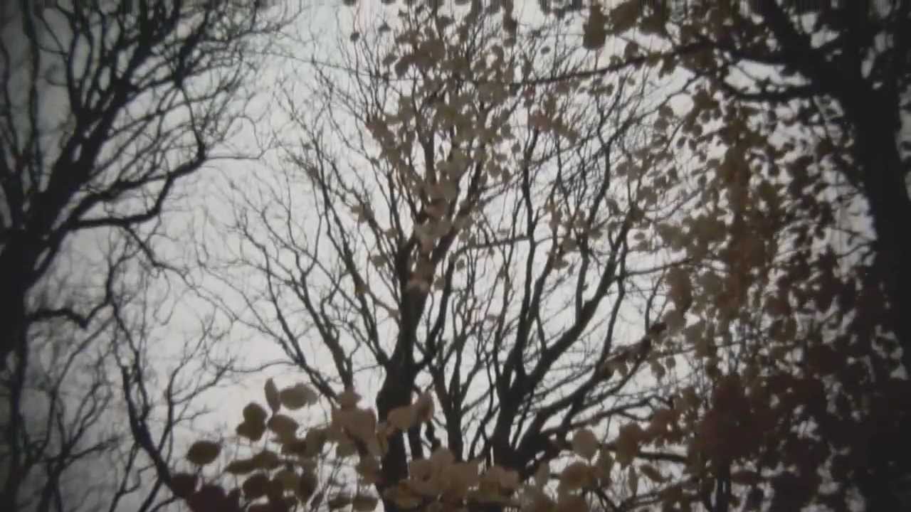 Shocktober Week 1: "Future Hack"