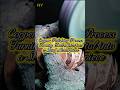 Copper Polishing Process – Turning Dull Metal into a Shiny Masterpiece.