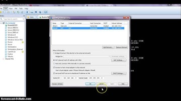 VMware Bridged enable
