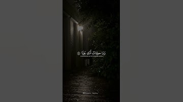 القارئ: شريف مصطفى