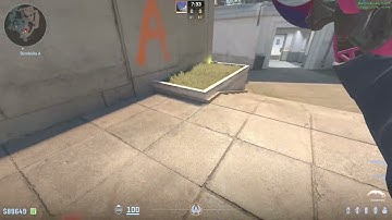 Did Valve Break Overpass With This Molly Change?