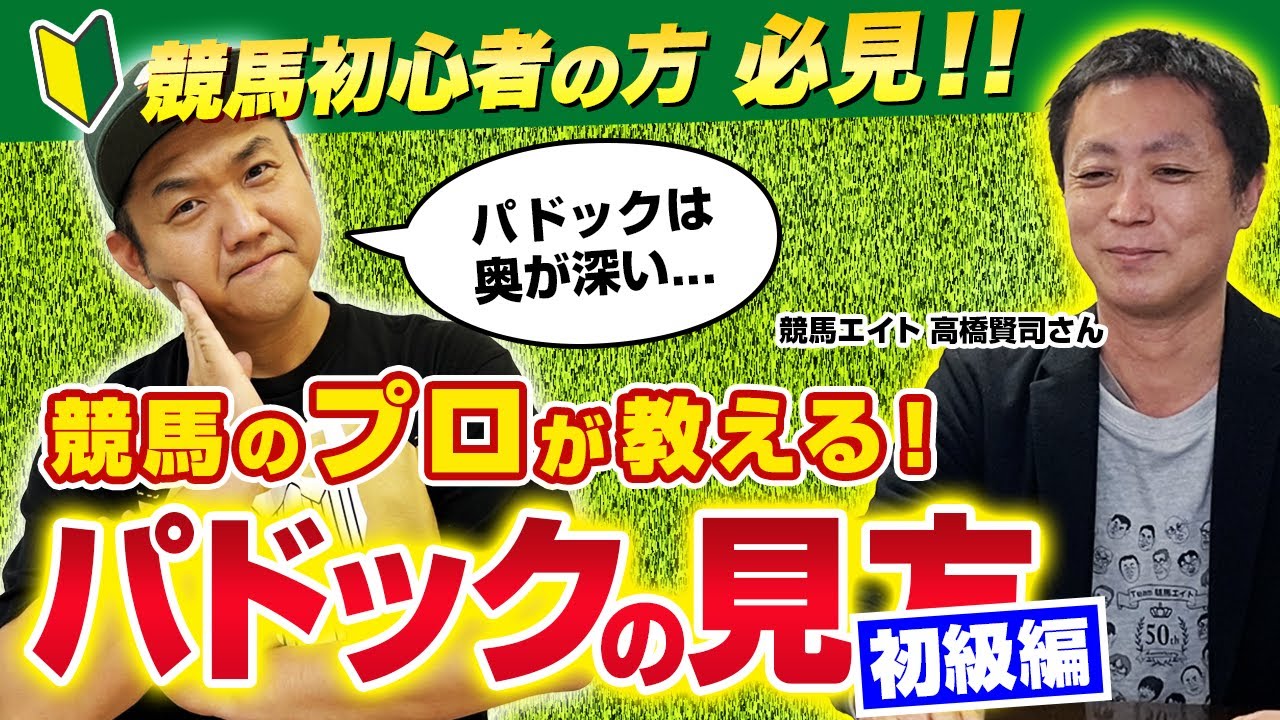 【初心者向け】競馬講座・パドック（初級編）！競馬エイト高橋さんに聞いてみた！【競馬エイト】