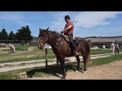 PTV, MONTAIN TRAIL: le passage du 45 et du portail monté.