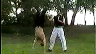 The Trailer Of Bill Hicks His Movie Ninja Bachelor Party. 4 Of 5