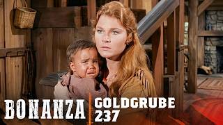 Bonanza | Folge 237 | Die weiße Squaw| Komplette Folge in FULL HD