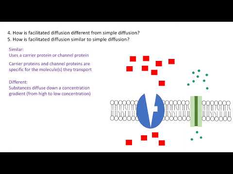 Transport across cell membrane revision: Diffusion