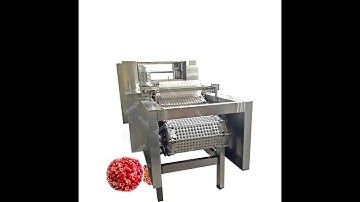 Apricot, plum, date pitting machine