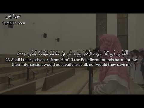 سورة يس ق يل اد خ ل ال ج ن ة ق ال ي ا ل ي ت ق و م ي ي ع ل م ون للشيخ محمد اللحيدان