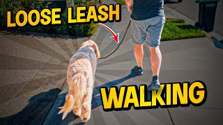 Loose Leash Walking Made Easy with Nate Schoemer