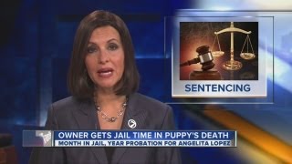 Woman gets jail time in puppy's death