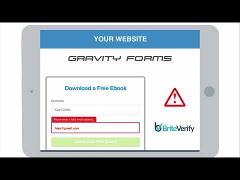 Gravity Forms BriteVerify Email Validation