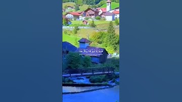 حالات واتس قرآن الكريم🤍🎧 تلاوة من سورة السجدة 🍃 القارئ عبدالرحمن مسعد🍃