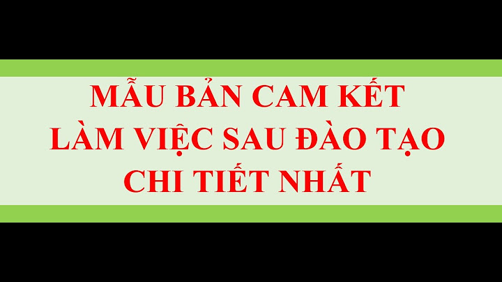 Mẫu văn bản cam kết chịu trách nhiệm năm 2024