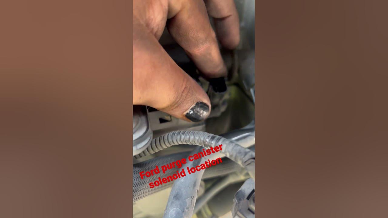 Ford ecosport canister purge solenoid 1.0l location - YouTube