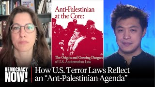 U.S. Terrorism Laws Are "Anti-Palestinian at the Core," Chill First Amendment