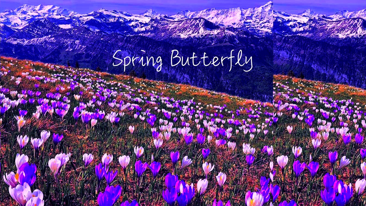  free 808 midi kit 2021 spring butterfly youtube
