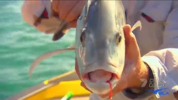 BLA - Humminbird - Creek to Coast with Tim Morgan