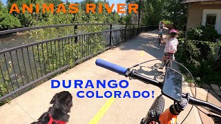 Animas River Trail Durango Co Bike Ride With The Family Santa Rita Park To Animas Brew Co