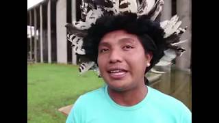 The Karipuna Fight For The Forest And Their Survival