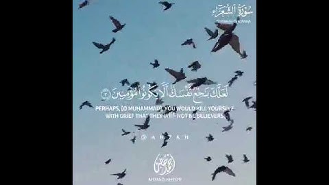 أوائل سورة الشعراء القارئ احمد خضر❤️❤️#دينى #تلاوات #اسلام #تلاوه_جميله