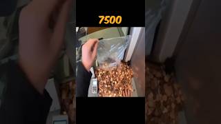 HE PAID A $75 DOLLAR PARKING TICKET USING 7500 PENNIES 🤣 #Shorts