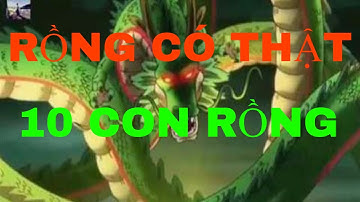 TOP 10 CON RỒNG CÓ THẬT NGOÀI ĐỜI - CÓ THỂ BẠN KHÔNG TIN - ĐĐT Channel