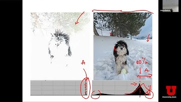 cs5460/6460 - Midterm review