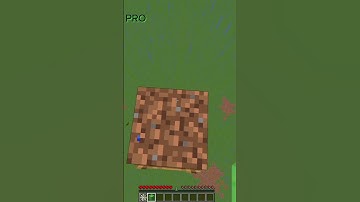 noob vs pro cobweb mlg