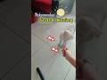 snack kucing cuma 2000an 😱 #cat #kucinglucubandung #kucing #snackkucing #kucinglucu #petcare