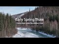 Early spring thaw  chena river state recreation area