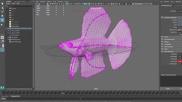 Fish Rig Demo (Maya)