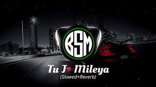 Tu Jo Mileya (Slowed + Reverb)  Juss X Mixsingh | New Punjabi Song 2024 | BSM Song