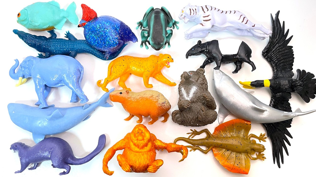Stretchy Jungle Creatures toy Squishy Toy Stretch Toy animals