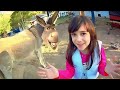 ENCONTREI O BURRO DO SHREK? ★ Vlog na Fazendinha, Animais e Arvorismo ★ Férias de Inverno 2016