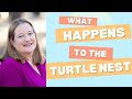 Sea Turtle Nest Excavation #seaturtles #vanderbiltbeach