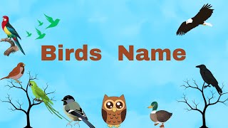 birds Name || birds Name with pictures for kids||