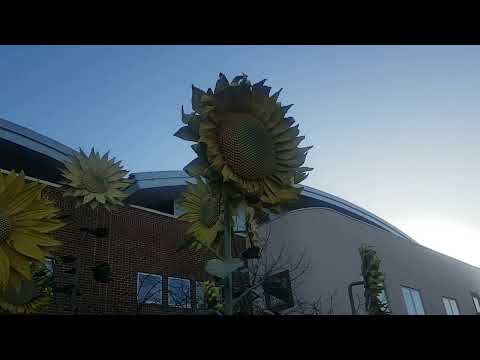 Nuffield orthopaedic centre