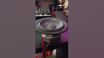 Bass Can You Hear Me 