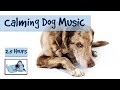 Over Two Hours of Calming Music for Dogs - Dog Relaxation Music to Calm Your Dog!